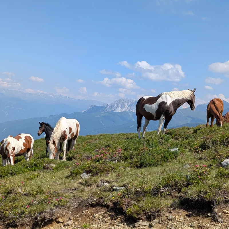 Gipfel mit fernen Bergketten
