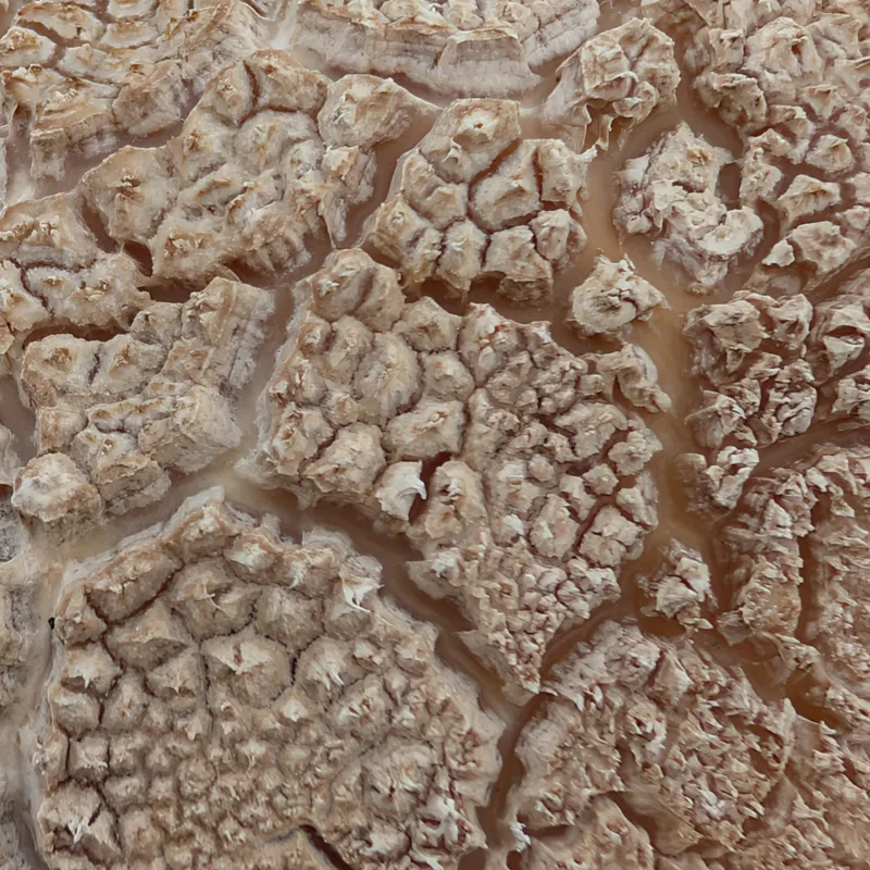 Sanfte Farbtöne des Sonnenaufgangs